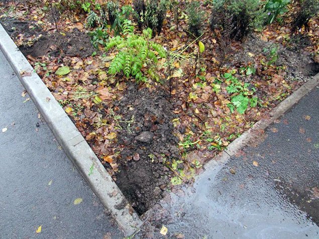 Image00003