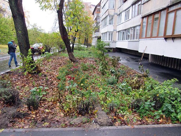Image00005