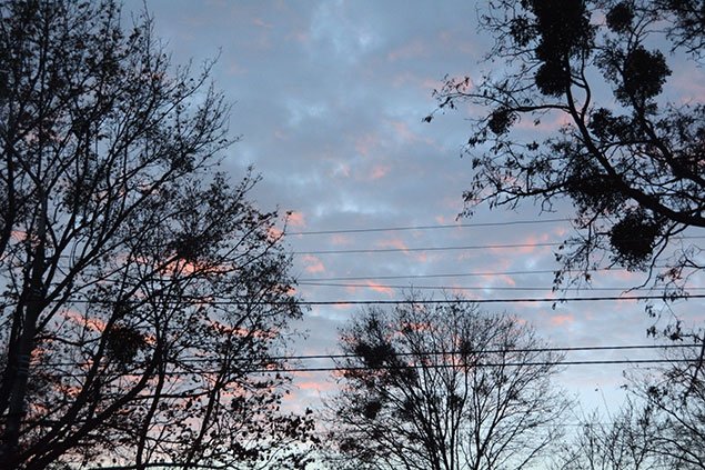 Image00027